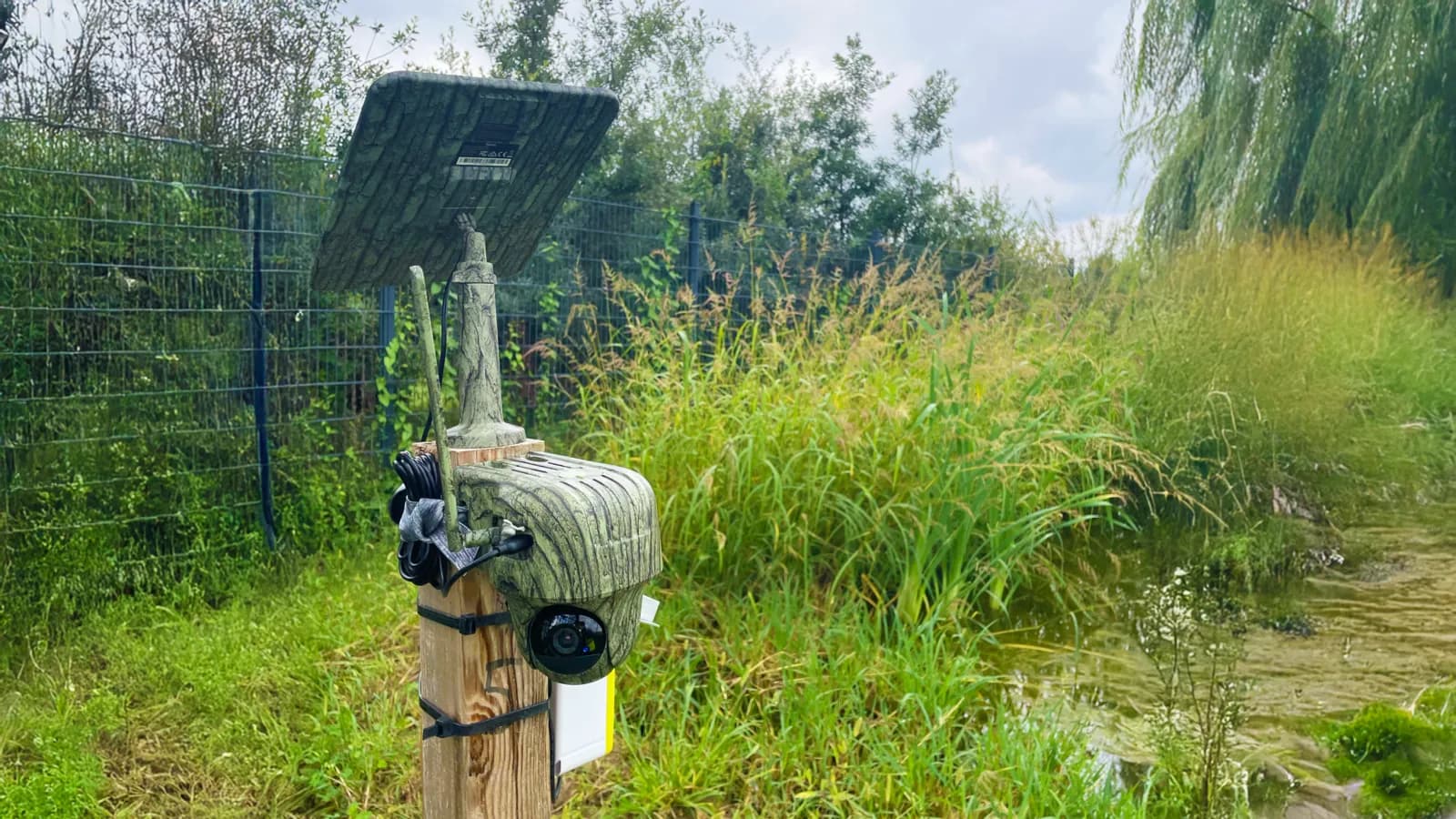 Camera Trap