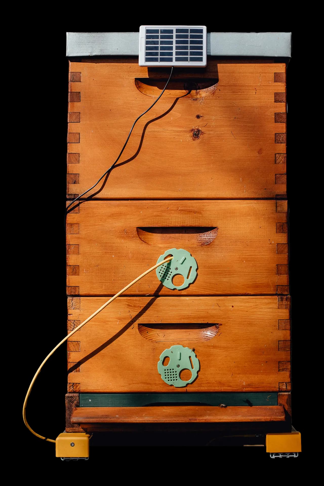Hive-Tech